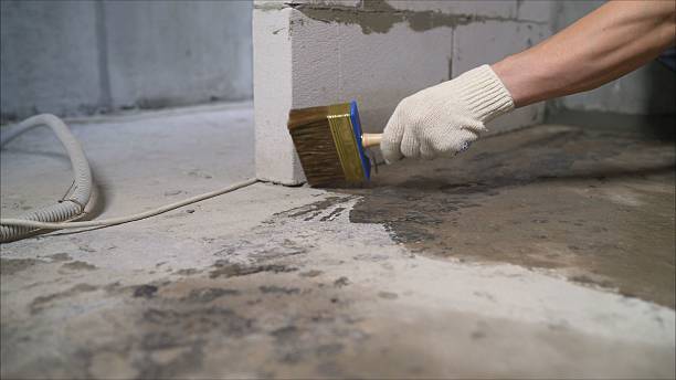 SJ Waterproofing Pros Waterproofing coverage map for Brighton, AL and surrounding area